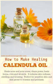 Amazing Healing Benefits Of Calendula For Skin And Hair Modern Vintage Ville In 2020 Calendula Benefits Calendula Salve Calendula