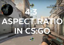 It includes access to the cs:go 360 stats page as well as your team's round win chance report in competitive and premier game modes. How To Play Cs Go In 4 3 Stretched Resolution For Nvidia Users Csgo2asia