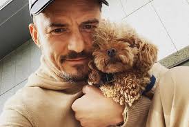 That is why he is able to always exhibit the best performance on the screen. Anjing Peliharaan Hilang Orlando Bloom Hatiku Hancur Okezone Celebrity