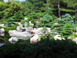 Japanese gardens (日本庭園, nihon teien) are traditional gardens whose designs are accompanied by japanese aesthetics and philosophical ideas, avoid artificial ornamentation. Mini Japanese Garden Free Stock Photos Rgbstock Free Stock Images Drow August 22 2013 11