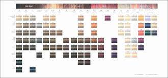 Schwarzkopf Blondme Toner Color Chart Unique Schwarzkopf Professional Igora Royal Hair Color Chart Hair Color Chart Toner Color Chart Schwarzkopf Professional