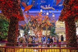 Maybe you would like to learn more about one of these? Las Vegas For Thanksgiving 2020 Style Elite Medical Center