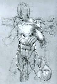 Always been curious about human's back anatomy, couldn't find a good reference picture. Character Anatomy Male