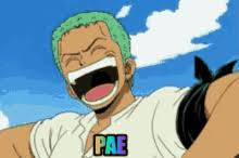 Luffy and zoro en la playa by eikens on deviantart. Roronoa Zoro Gifs Tenor