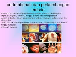 Tahapan perkembangan embrio pada manusia secara berurutan adalah : Pertumbuhan Dan Perkembangan Hasil Konsepsi Ppt Download