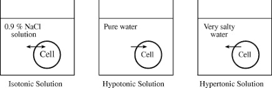 Maybe you would like to learn more about one of these? Isotonic Solution An Overview Sciencedirect Topics