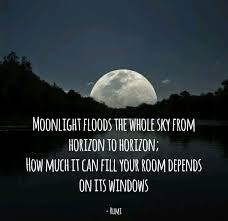 Rumi Quotes Journey Life Spirituality Sufi Soul Conciousness Light Poetry Rumi Love Quotes Rumi Love Rumi Quotes