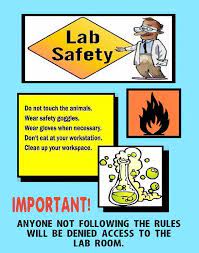 Safety posters are one of the most important equipments which are required for a wide range of. Lab Safety Poster Project Hse Images Videos Gallery