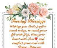 We did not find results for: Good Morning Tuesday Quotes Pictures Photos Images And Pics For Facebook Tumblr Pinterest And Twitter