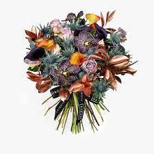 Suitable for any occasion, our flowers have instant wow factor on arrival. Belle In Black Haute Florist