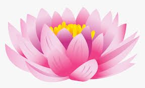 Download lotus flower transparent background and use any clip art,coloring,png graphics in your website, document or presentation. Download Flower Background Toppng Lotus Flower Images Png Transparent Png Transparent Png Image Pngitem