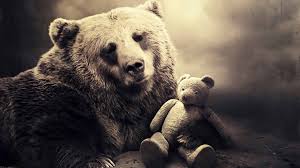 We did not find results for: Bear Hd Wallpaper Background Image 1920x1080