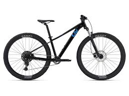 Giant TEMPT 2024 Mark Pickford Cycles offers