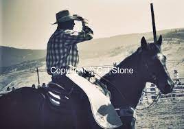 Cowboy Deadman S Creek Rodeo British Columbia British Columbia Rodeo Horses