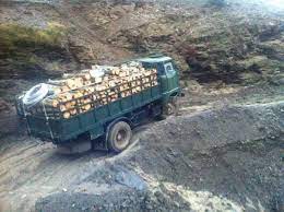 IFA - Photos | Facebook