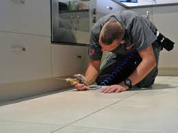 So, what are you responsible for? Who Is Responsible For Pest Control Landlord Or Tenants Realestate Com Au