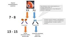 Resultado de imagen para "la bisexualidad" conclusiones "nuevo estudio" "the lancet" "New England Journal of Medicine"