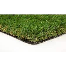 If you live an area where droughts often occur, this type of outside carpet is a perfect solution for your front lawn or backyard. Polypropylene Pet Areas Cut To Length Artificial Grass At Lowes Com