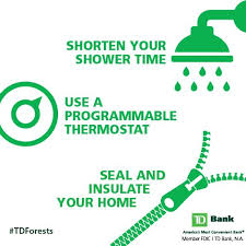 What Steps Do You Take To Lead A Greener Lifestyle Here Are Some Tips That Will Make The Environment And Your Wallet Green Lifestyle Shower Time Green Living