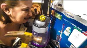 Bissell Proheat 2x Revolution Pet Carpet Cleaner 2066f Do Not Buy The Bissell Proheat 2x Revolution Pet Pro Carpet Scrubber Carpet Cleaner Horrible Product Youtube