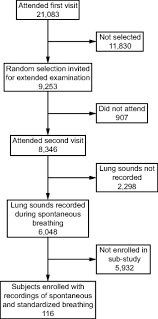 Adventitious And Normal Lung Sounds In The General