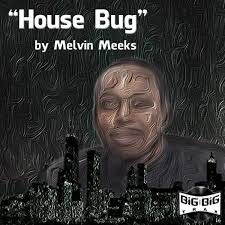 House Bug