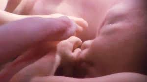 Little arms and legs sprout. Twins In The Womb Human Development Youtube
