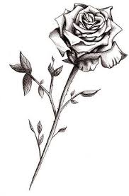 Rose Tattoo Designs The Body Is A Canvas Black Rose Tattoos Single Rose Tattoos Rose Stem Tattoo