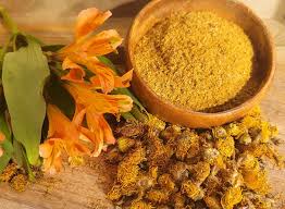 Image result for Inula