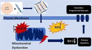 Synergistic Treatment of Breast Cancer ...