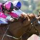 2026 $1,000,000 MAGIC MILLIONS WA LADIES DAY event image