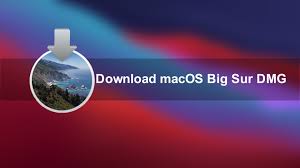 Or, go to system preferences > software update, and find macos big sur. Download Macos Big Sur Dmg File 11 1 Updated 4 Jan 2020 Techrechard