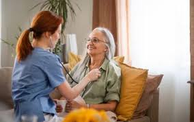 Professional Housemaid Services Hyderabad