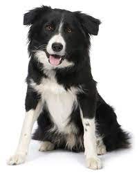 pin on idei dlya doma