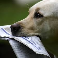 Its registered agent is inna goncharov with the seat at 1606 warm springs road, henderson, 89014, nv licensed as noncommercial registered agent. Warm Springs Animal Hospital 3 Tips From 47 Visitors