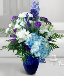 Chandler, az consumer products and services florists flower shops. 23 Blooming Plants Ideas Blooming Plants Flower Arrangements Plants