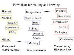 Ppt Flow Chart For Malting And Brewing Powerpoint
