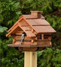 image result for bird houses kus evi kus yemlikleri kus