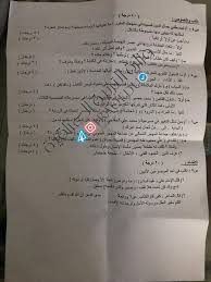 حل واجوبة اسئلة اللغة العربية سادس علمي احيائي وتطبيقي 2019 الدور الاول