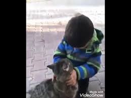 buyuyunce ben de kedi olacagim diyen ufaklik youtube in 2021 caricature animals cats