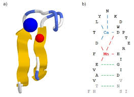 Download A Stochastic Context Free Grammar Based Framework For Analysis Of Protein Sequences Bmc Bioinformatics Full Text