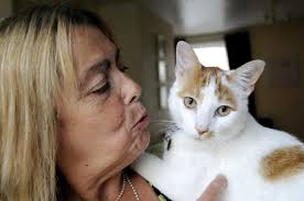 Riley reunited with owners after going missing for 12 months