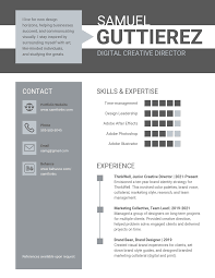 Infographic Resume Template Venngage