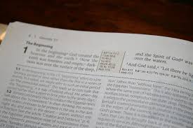 The cultural backgrounds study bible was awarded the christian book awards 2017 bible of the year by the evangelical christian publishers association!. Niv Cultural Backgrounds Study Bible Review Bible Buying Guide
