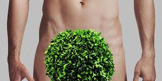 One of the negative consequences of the the prospect of hair loss is also often the reason for refusing to complete treatment, which no painful sensations occur during the procedure. Why Pubic Hair Grows So Fast Men S Health