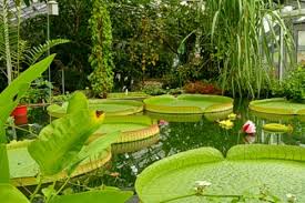 See more of botanischer garten und botanisches museum berlin on facebook. Gruson Gewachshauser Magdeburg Bot Garten