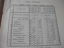 Datele din aceasta sectiune au doar caracter informativ si sunt puse la dispozitia utilizatorilor fara a fi actualizate in timp real. Colectia Mersul Trenurilor De Calatori Pagina 2