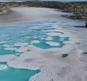 3 años después regrese a Guerrero Negro