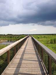 The La Chua Trail At Paynes Prairie Preserve State Park Florida Parks State Parks Places To Go