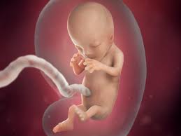 Dein körper in der 7. Ihre Ssw Im Uberblick Babycenter